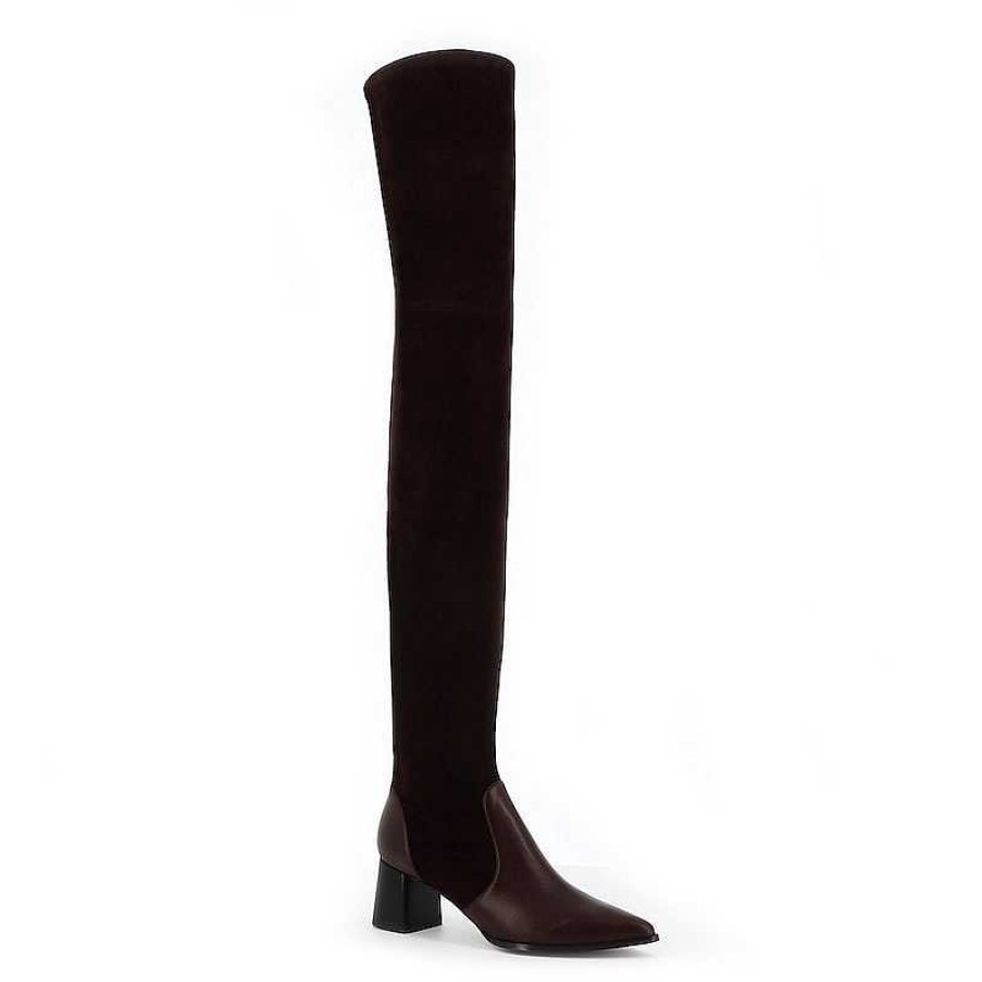 Chamberlan Artemis Brown Over-The-Knee Boots | Shoes